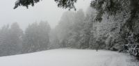 61 waldlichtung beim haus sepp in dachsberg
